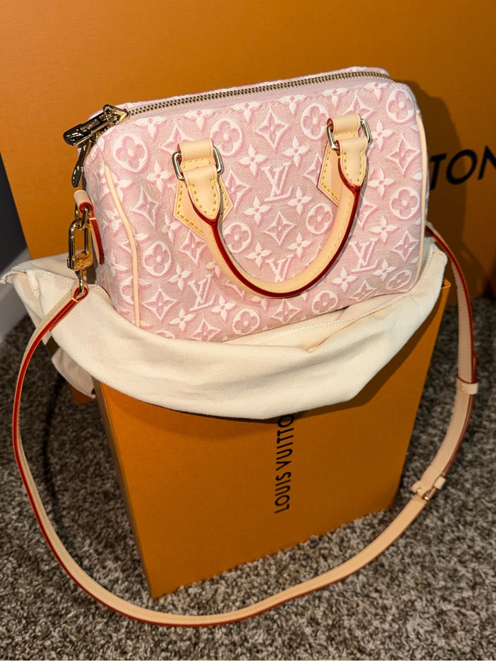 Louis Vuitton Speedy Bandoulière 20 Pink Monogram Mini Speedy Crossbody